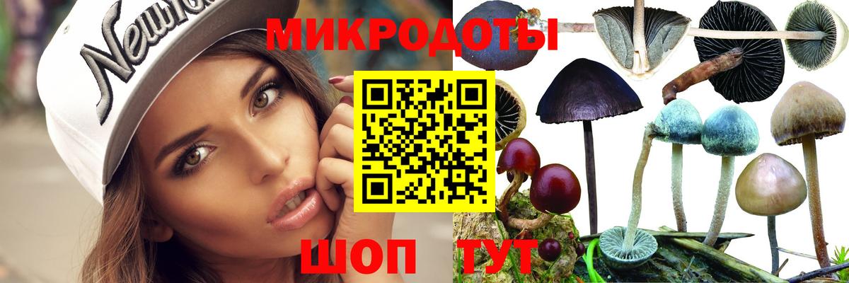 Галлюциногенные грибы мицелий  Вход с VPN  Белогорск 